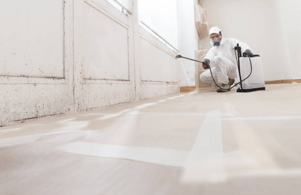 24/7 Emergency Mold Remediation experts in Louisburg, NC