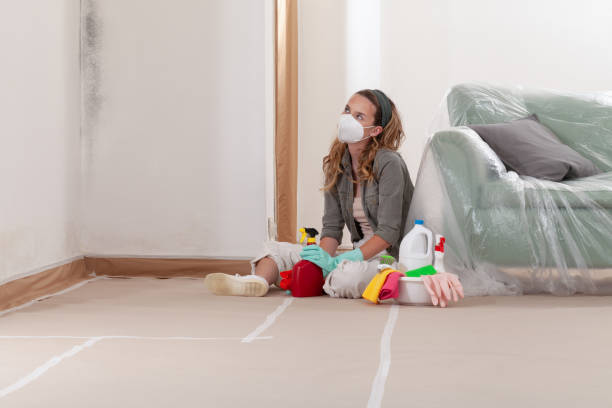 Reliable Mold Remediation contractor in Louisburg, NC by Car Mold Remediation